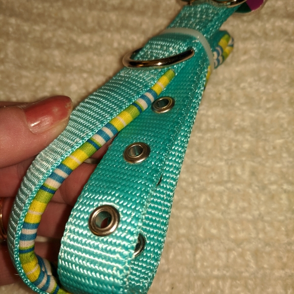 NWT! Medium Padded Dog Collar (14"-20" Neck) - Picture 2 of 5